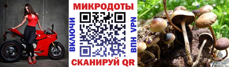 Псилоцибиновые грибы Magic Shrooms  купить  сайты  Оханск 